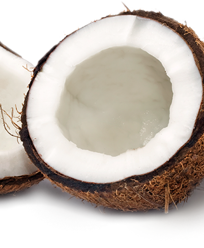 Cocco