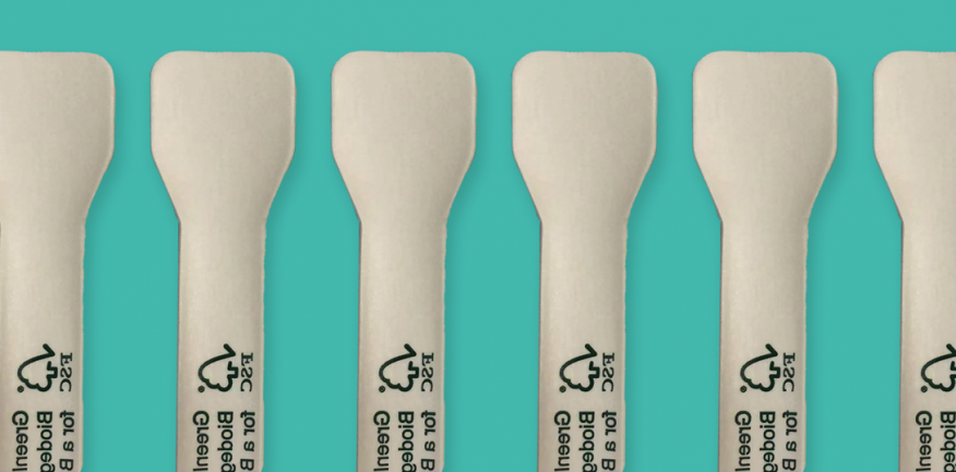 Biodegradable spoons