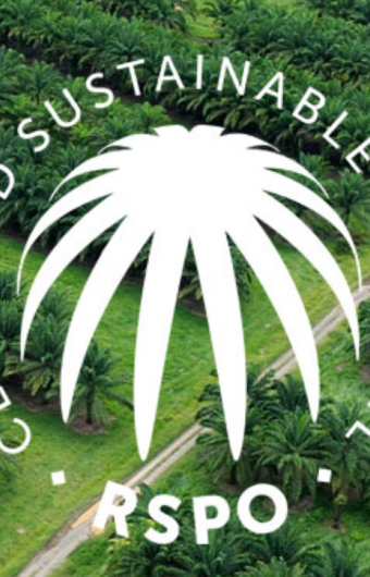 RSPO logo