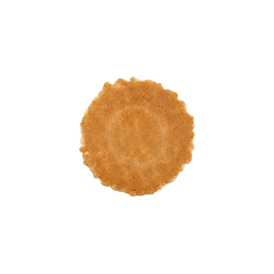 plain wafer disc