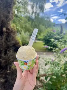 A Sustainable Future for the Ice Cream Industry